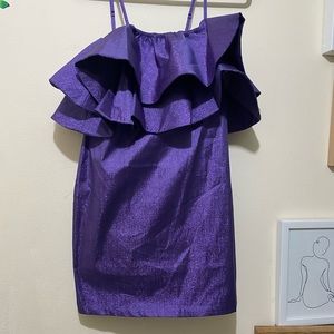 Zara Purple Ruffle Mini Dress
